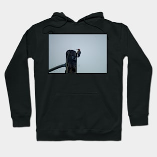 Hll readheaded Hoodie